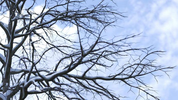 Collection Hiver 2ieme volume - Image rendue 7