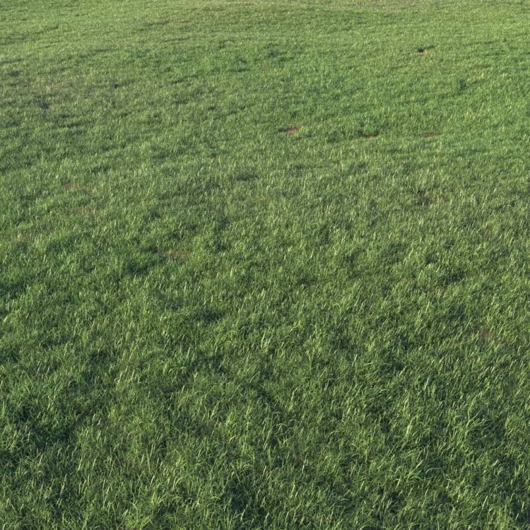 Grass Base Layer 2 - Large - Imagen renderizada 1