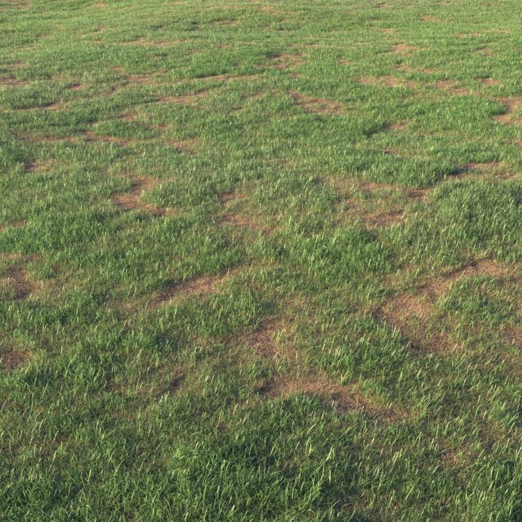 Grass Base Layer 6 - Large - Imagen renderizada 1