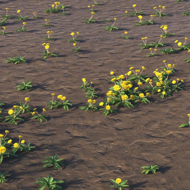 Grass Overlay Layer - Dandelion Flower - Рендерированное изображение 1