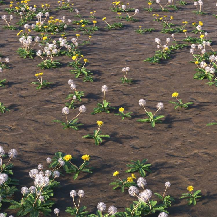 Grass Overlay Layer - Dandelion Mix - Imagen renderizada 1