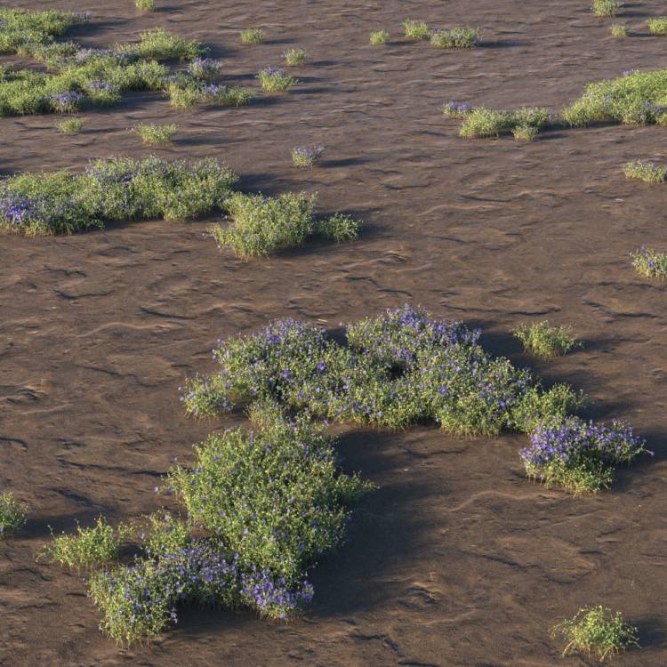 Grass Overlay Layer - Slender Speedwell - Рендерированное изображение 1