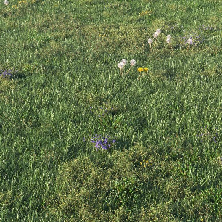 Unkempt Lawn AIO 1 (detail) - Рендерированное изображение 1