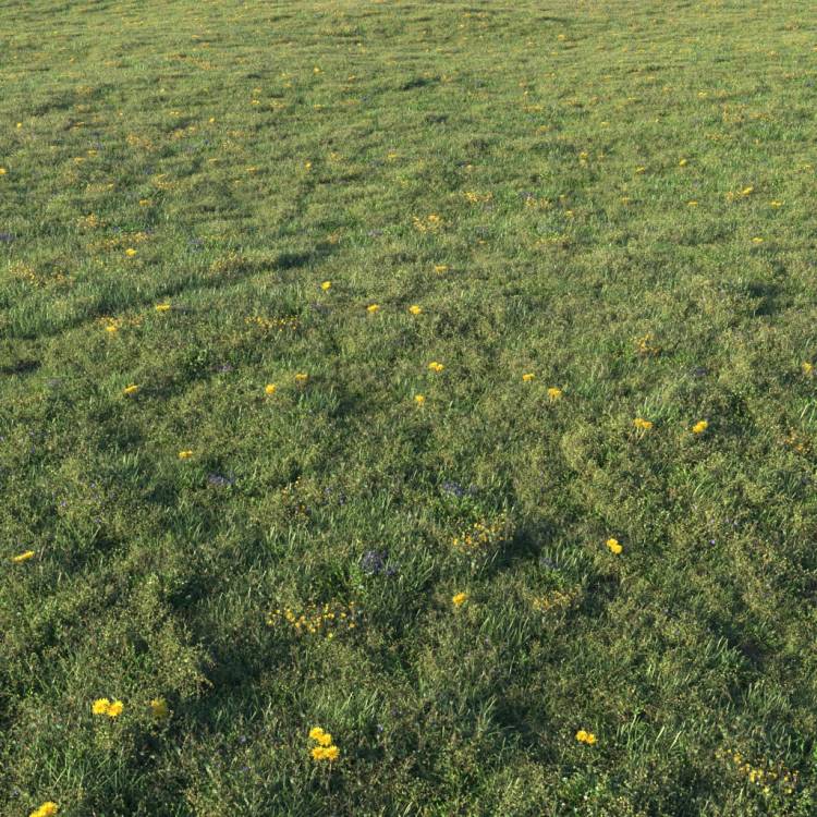 Unkempt Lawn AIO 1 (large) - Rendered Image 1