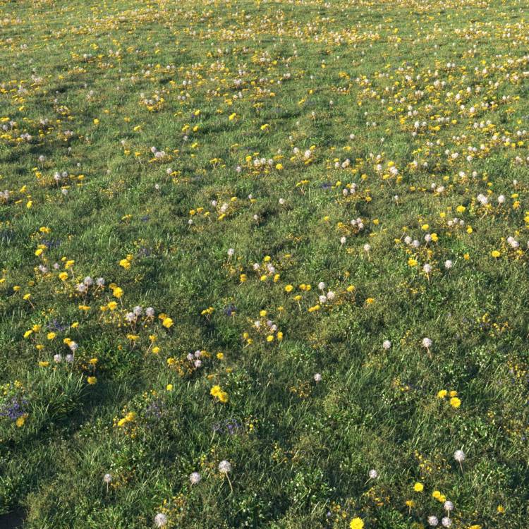 Unkempt Lawn AIO 2 (large) - Imagen renderizada 1