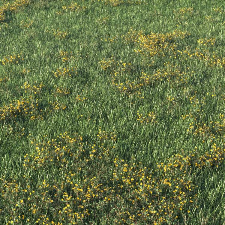 Unkempt Lawn AIO 3 (detail) - Рендерированное изображение 1