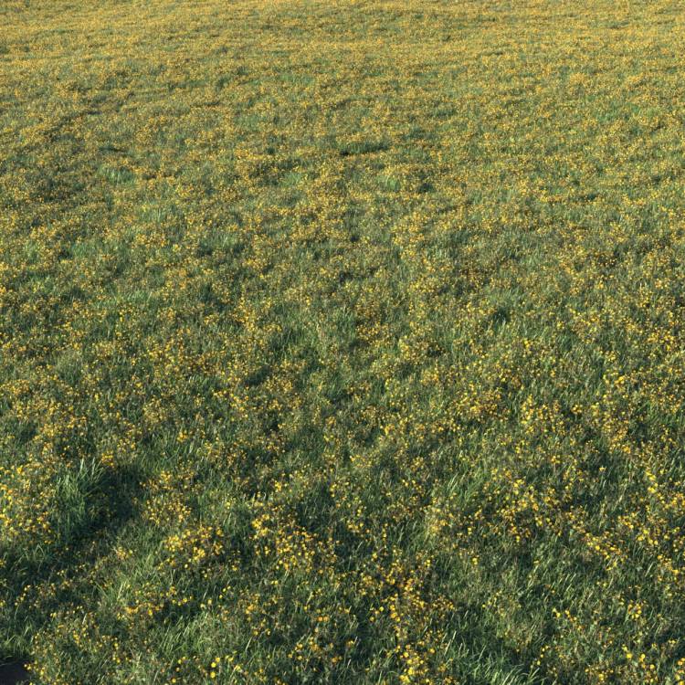 Unkempt Lawn AIO 3 (large) - Rendered Image 1