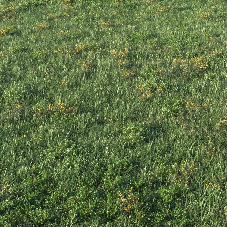 Unkempt Lawn AIO 4 (detail) - Rendered Image 1