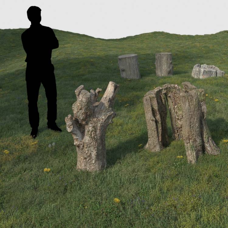 Stumps - Decorative - Image rendue 1