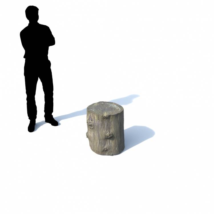 Stump Decorative 01 - Imagen renderizada 1