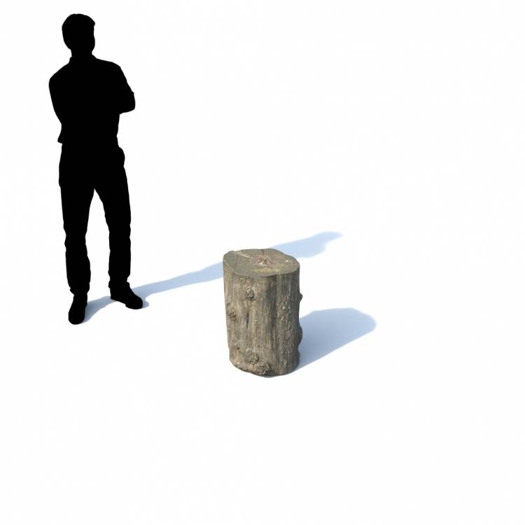 Stump Decorative 02 - Imagen renderizada 1