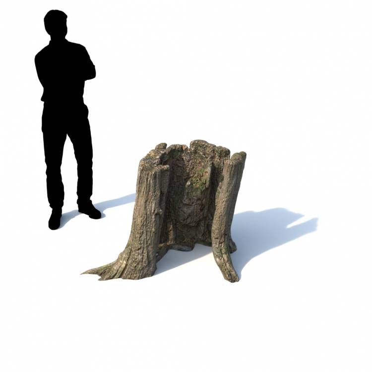 Stump Decorative 03 - Imagen renderizada 1