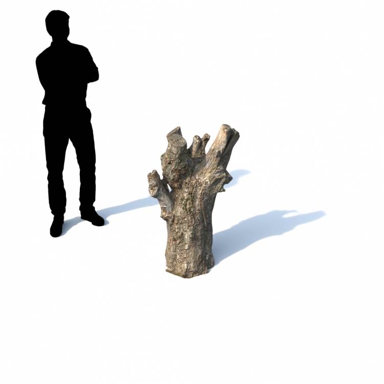 Stump Decorative 04 - Imagen renderizada 1