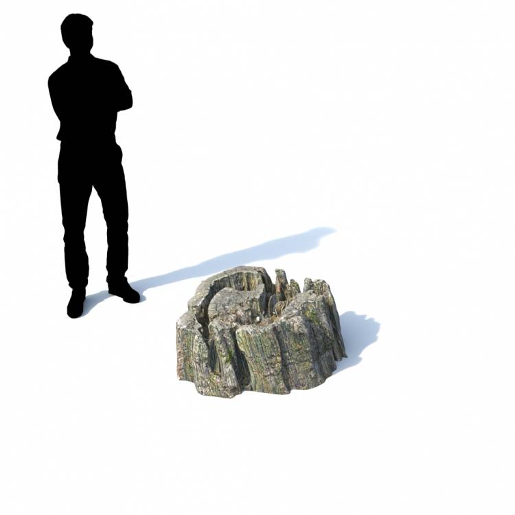 Stump Decorative 05 - Imagen renderizada 1