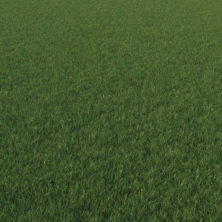 FP Preset "Medium lawn grass detail" - Imagen renderizada 1