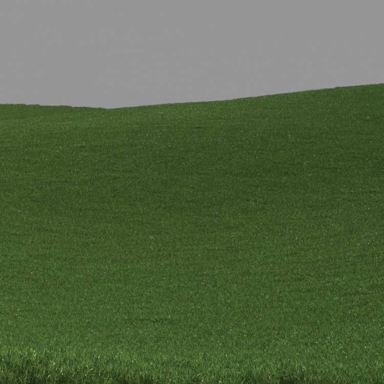 FP Preset "Medium lawn grass large" - Рендерированное изображение 1