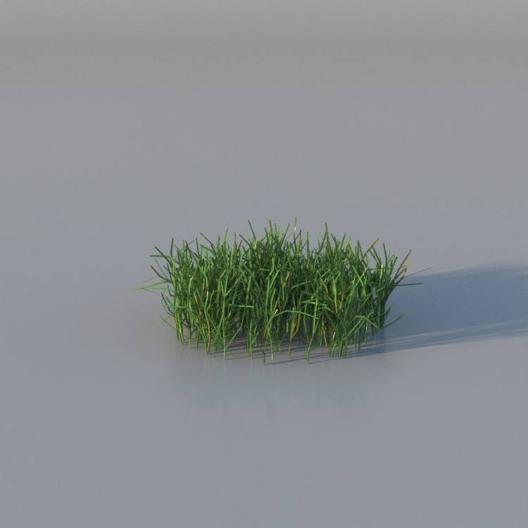 Grasses - Short Lawn Grass v3 - Rendered Image 1