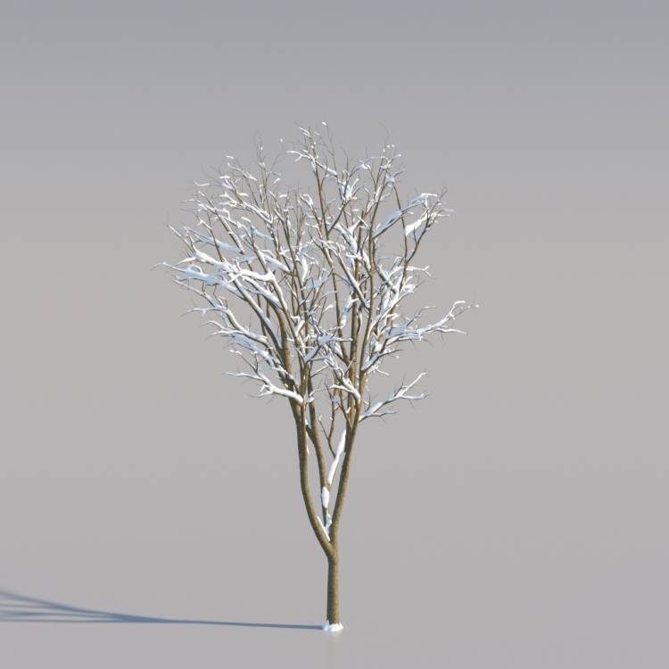Snowy Norway Maple Young V3 - Imagen renderizada 1