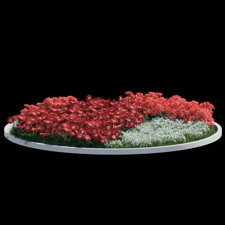 fp_decorative_template_2 - Rendered Image 1