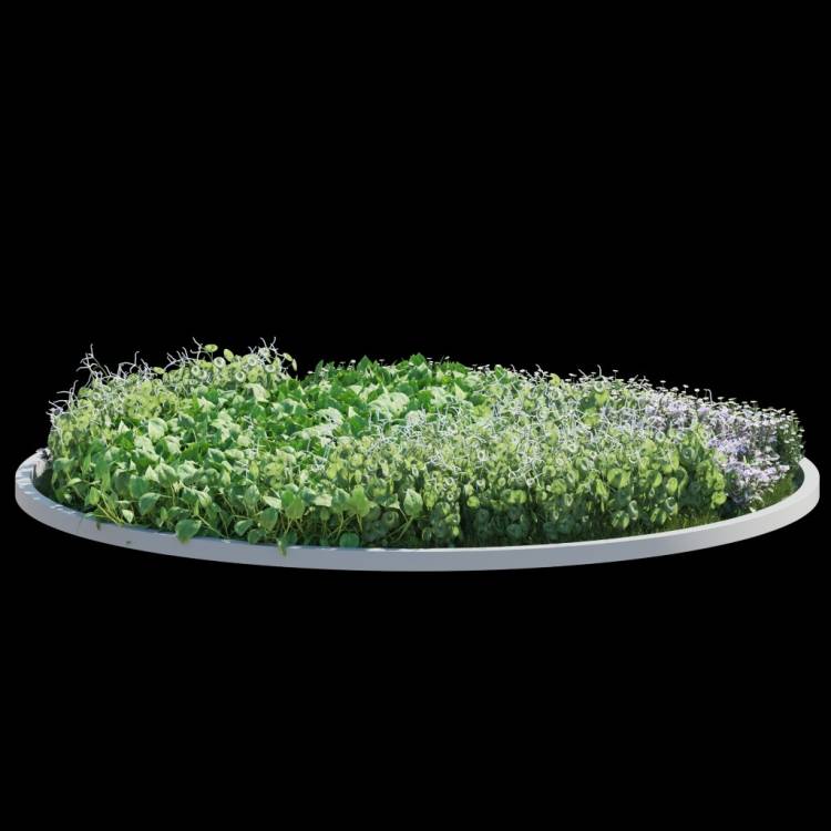 fp_decorative_template_7 - Рендерированное изображение 1