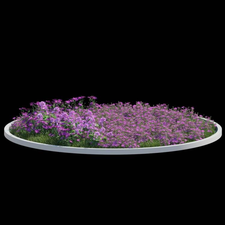 fp_decorative_template_9 - Rendered Image 1