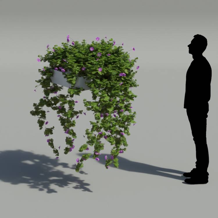 Bloody Crane's-bil Pergola Big 1 - Rendered Image 2