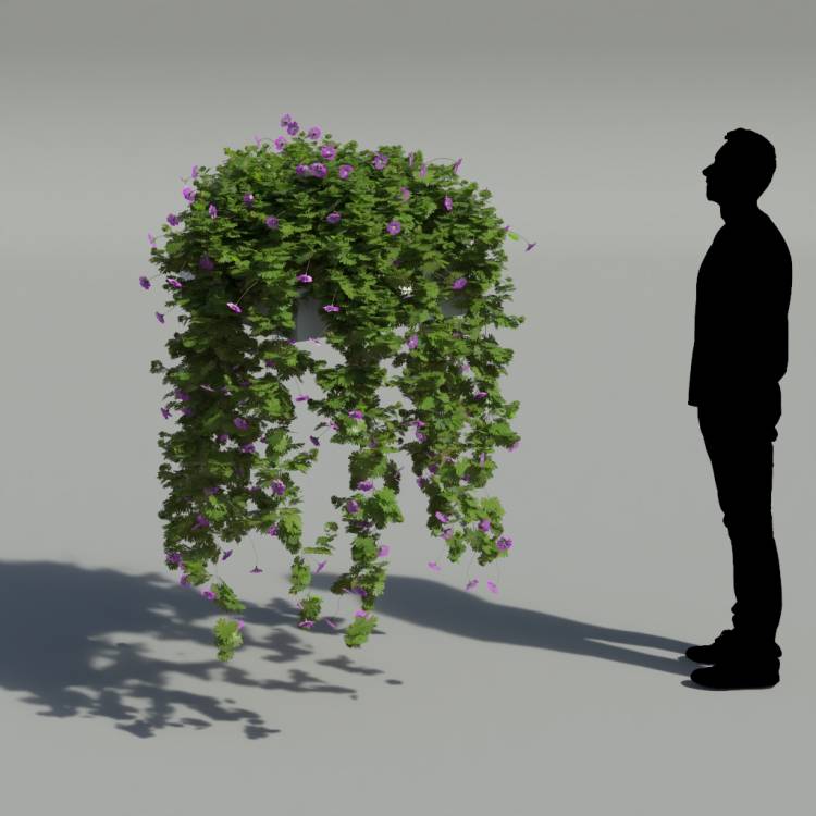 Bloody Crane's-bil Pergola Big 2 - Rendered Image 2