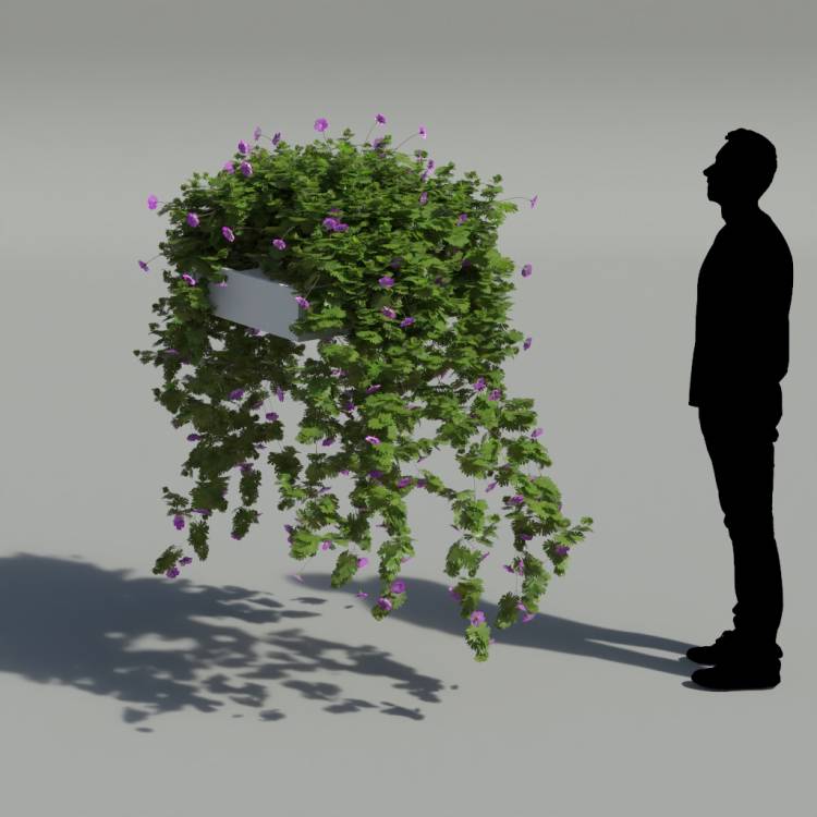 Bloody Crane's-bil Pergola Big 3 - Рендерированное изображение 2