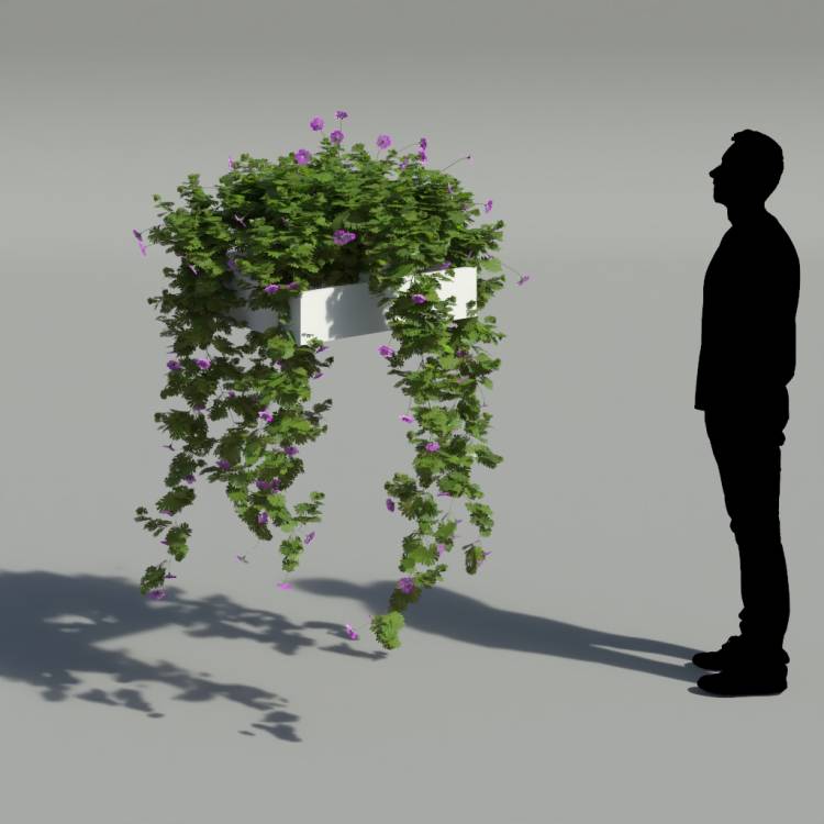 Bloody Crane's-bil Pergola Big 4 - Рендерированное изображение 2