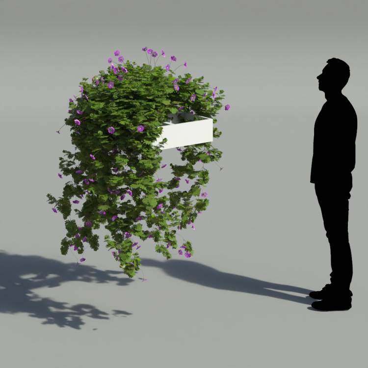 Bloody Crane's-bil Pergola Big 5 - Рендерированное изображение 2