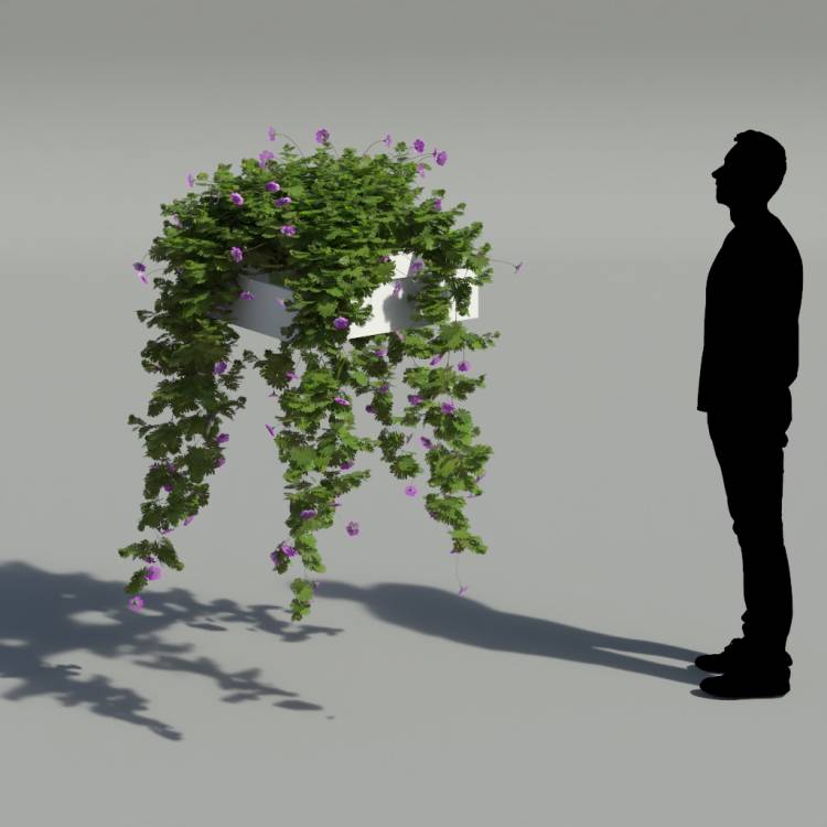 Bloody Crane's-bil Pergola Big 6 - Рендерированное изображение 2