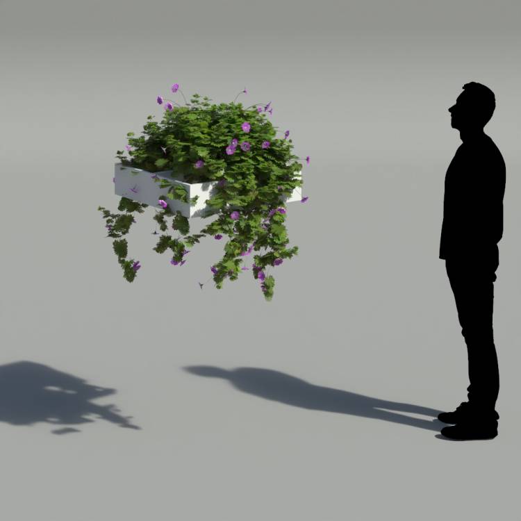 Bloody Crane's-bil Pergola Medium 1 - Rendered Image 2
