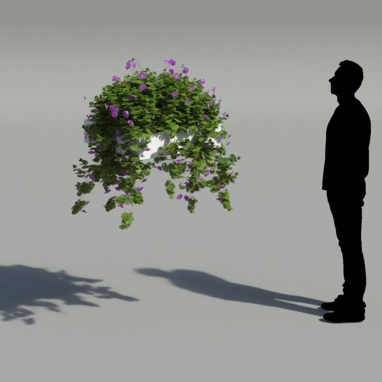 Bloody Crane's-bil Pergola Medium 5 - Рендерированное изображение 2