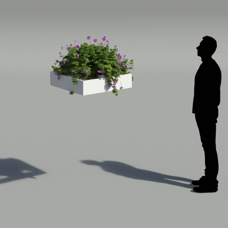 Bloody Crane's-bil Pergola Small 3 - Рендерированное изображение 2