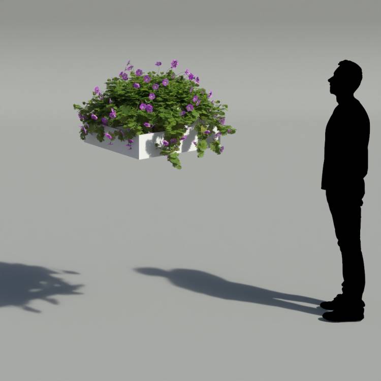 Bloody Crane's-bil Pergola Small 4 - Рендерированное изображение 2