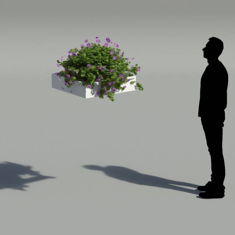 Bloody Crane's-bil Pergola Small 6 - Rendered Image 2
