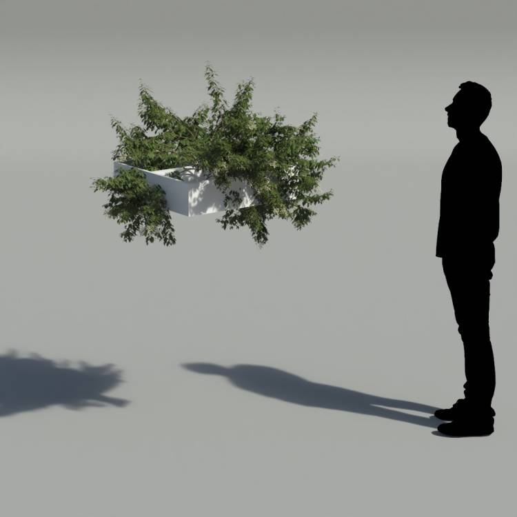 Broad-leaf privet Pergola Small 2 - Рендерированное изображение 2