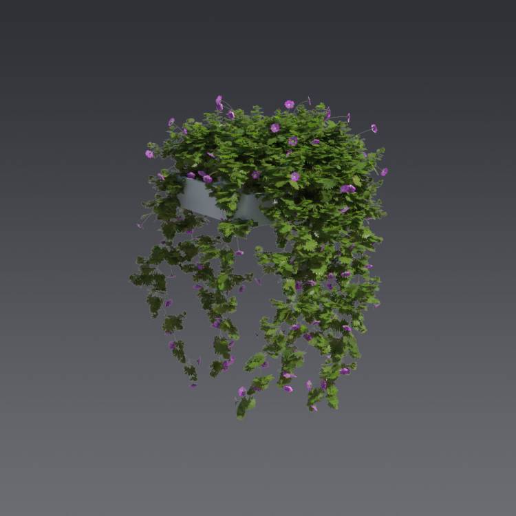 Bloody Crane's-bil Pergola Big 1 - Rendered Image 1