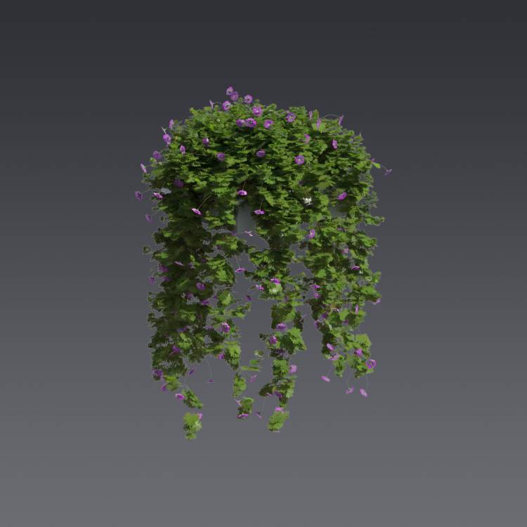 Bloody Crane's-bil Pergola Big 2 - Rendered Image 1