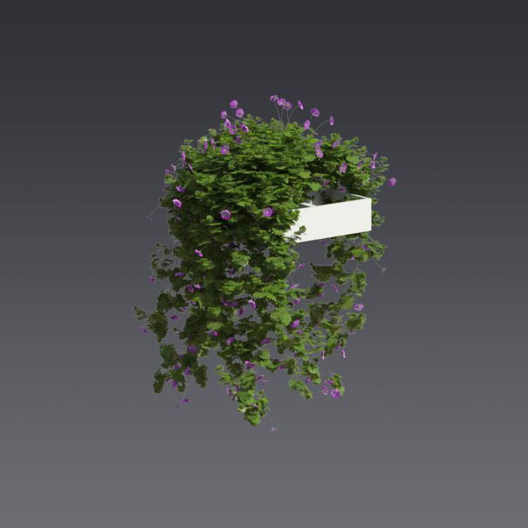 Bloody Crane's-bil Pergola Big 5 - Рендерированное изображение 1