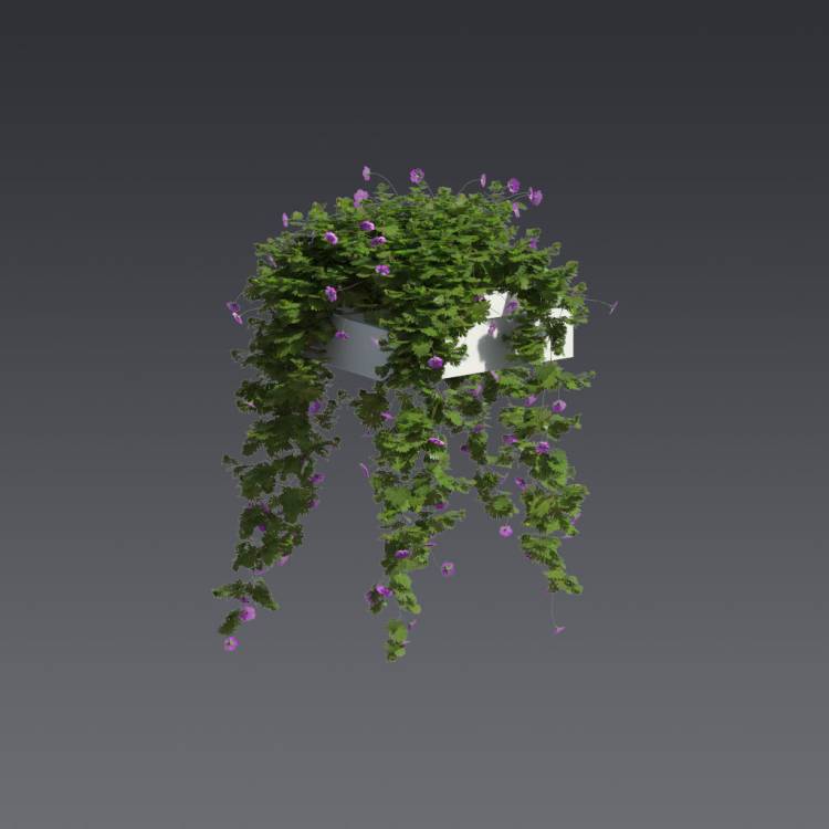 Bloody Crane's-bil Pergola Big 6 - Рендерированное изображение 1