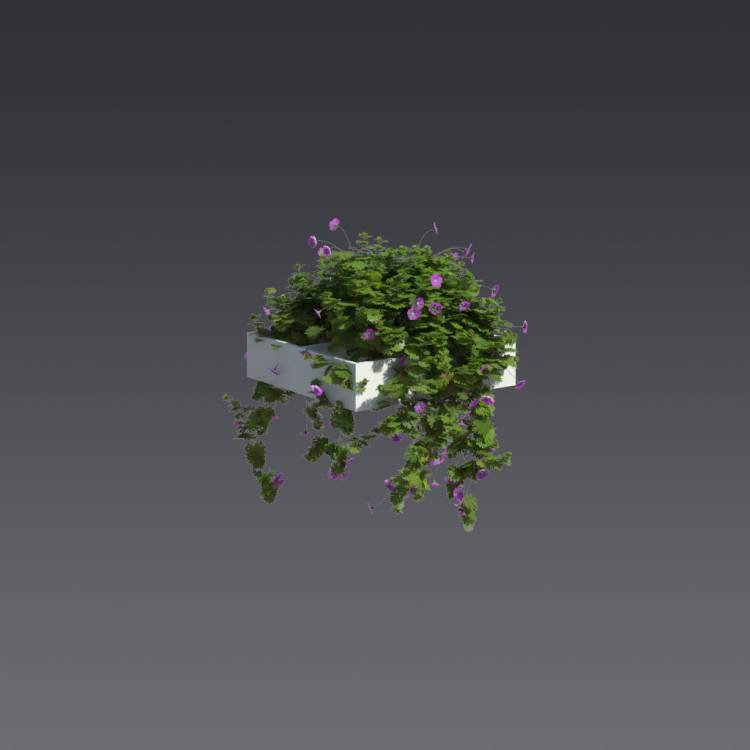 Bloody Crane's-bil Pergola Medium 1 - Rendered Image 1