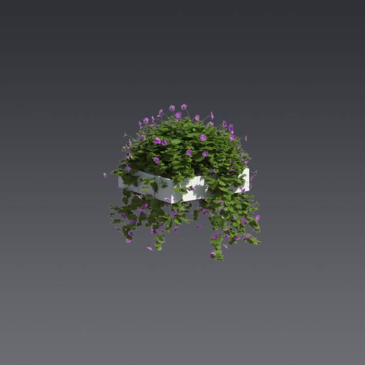 Bloody Crane's-bil Pergola Medium 2 - Image rendue 1