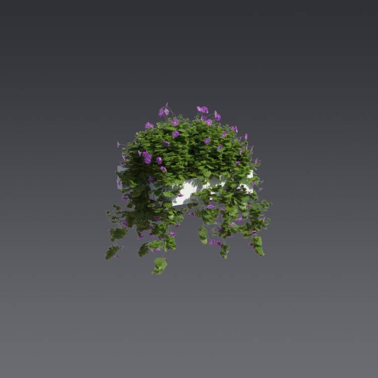 Bloody Crane's-bil Pergola Medium 5 - Рендерированное изображение 1