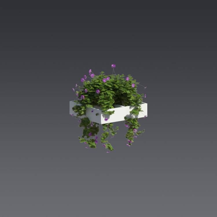 Bloody Crane's-bil Pergola Medium 6 - Image rendue 1