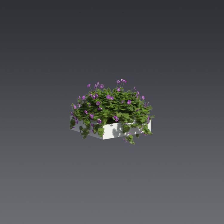 Bloody Crane's-bil Pergola Small 1 - Image rendue 1