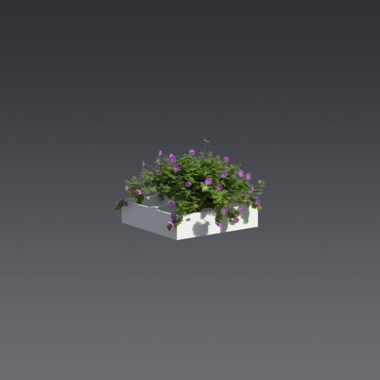 Bloody Crane's-bil Pergola Small 2 - Рендерированное изображение 1