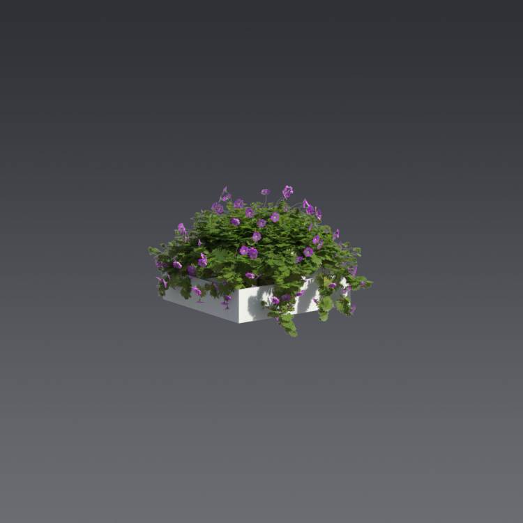 Bloody Crane's-bil Pergola Small 4 - Рендерированное изображение 1