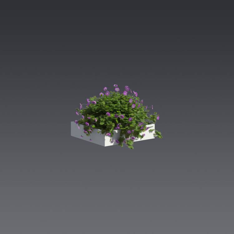 Bloody Crane's-bil Pergola Small 6 - Rendered Image 1