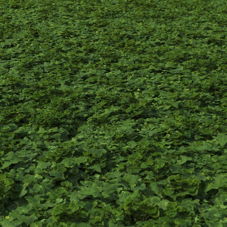 Small plants mix cover preset 1 - Рендерированное изображение 1